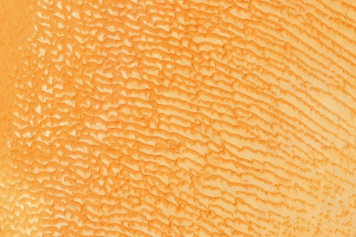 Dự[-]án[-]chụp[-]những[-]bức[-]ảnh[-]tuyệt[-]đẹp[-]về[-]Trái[-]Đất
