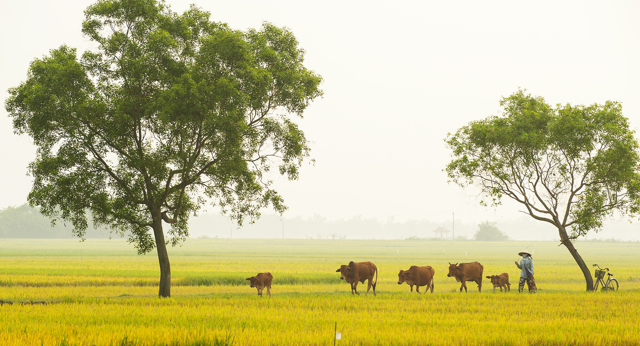 Xứ[-]mộng[-]mơ[-]tuyệt[-]đẹp[-]qua[-]ống[-]kính[-]của[-]nhiếp[-]ảnh[-]gia[-]Lê[-]Huy[-]Hoàng[-]Hải