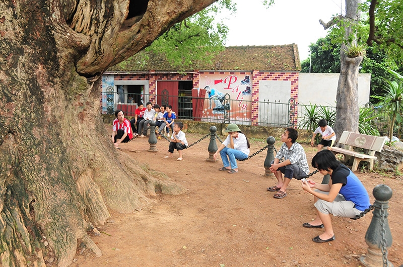Cây[-]Dã[-]Hương[-]hơn[-]1000[-]năm[-]tuổi[-]-[-]điểm[-]đến[-]hấp[-]dẫn[-]ở[-]Bắc[-]Giang