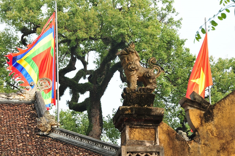 Cây[-]Dã[-]Hương[-]hơn[-]1000[-]năm[-]tuổi[-]-[-]điểm[-]đến[-]hấp[-]dẫn[-]ở[-]Bắc[-]Giang