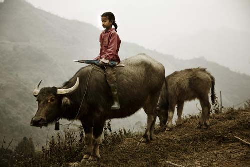 bao[-]anh