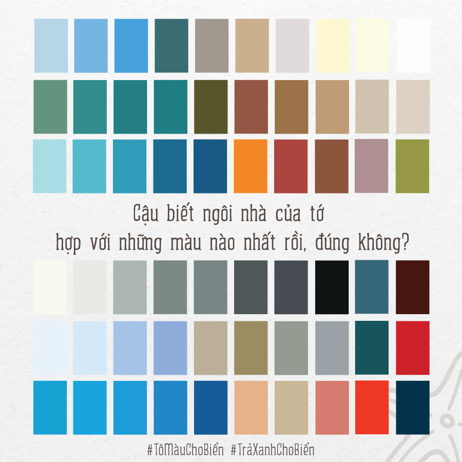 Bộ[-]ảnh[-]“Tô[-]màu[-]cho[-]biển”