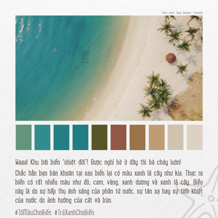 Bộ[-]ảnh[-]“Tô[-]màu[-]cho[-]biển”