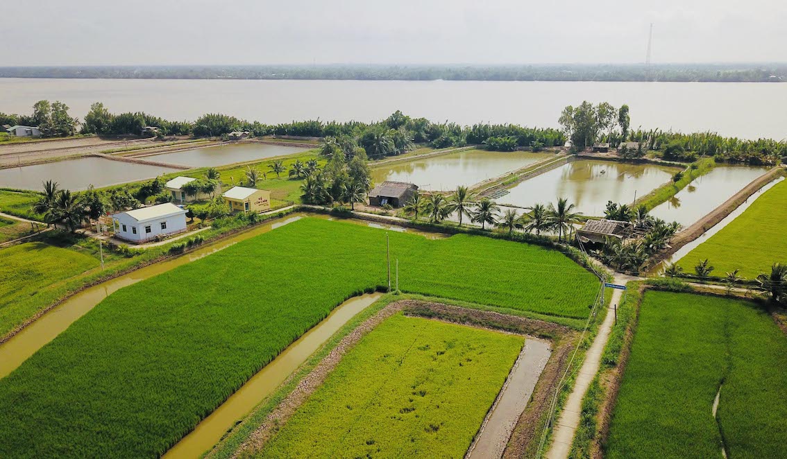 ĐBSCL[-]chuyển[-]hướng:[-]Khi[-]nông[-]dân[-]trúng[-]lớn[-]nhờ...[-]hạn[-]mặn