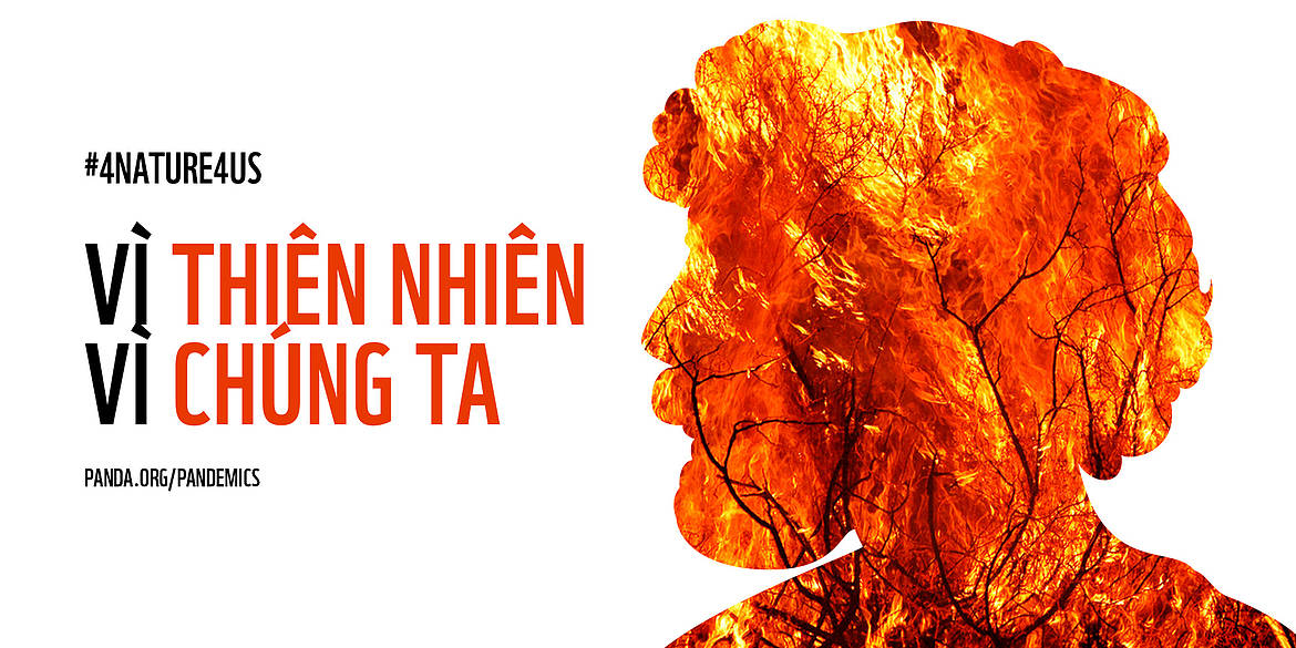 Rất[-]nhiều[-]dấu[-]hiệu[-]cảnh[-]báo[-]một[-]đại[-]dịch[-]mới[-]xuất[-]hiện[-]trừ[-]phi[-]chúng[-]ta[-]hành[-]động[-]khẩn[-]cấp[-]