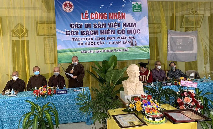 Trao[-]Bằng[-]công[-]nhận[-]cây[-]di[-]sản[-]tại[-]chùa[-]Linh[-]Sơn[-]Pháp[-]Ấn