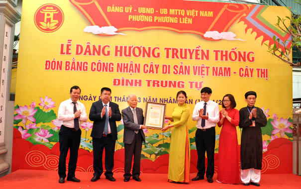 Cây[-]cổ[-]thụ[-]vùng[-]“Tứ[-]trấn[-]Thăng[-]Long”[-]được[-]vinh[-]danh[-]Cây[-]Di[-]sản[-]Việt[-]Nam