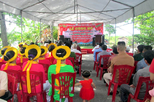 Cây[-]Sanh[-]ôm[-]trọn[-]ngôi[-]miếu[-]cổ[-]ở[-]Hải[-]Phòng[-]được[-]vinh[-]danh[-]Cây[-]Di[-]sản[-]Việt[-]Nam