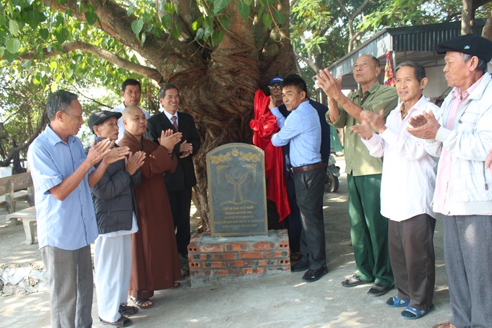 Bốn[-]cây[-]cổ[-]thụ[-]trên[-]200[-]năm[-]của[-]Ninh[-]Bình[-]được[-]công[-]nhận[-]Cây[-]Di[-]sản[-]Việt[-]Nam
