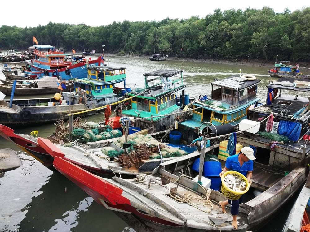 Xây[-]resort,[-]khu[-]dân[-]cư...[-]ở[-]Cần[-]Giờ[-]phải[-]được[-]thẩm[-]định[-]thận[-]trọng[-]