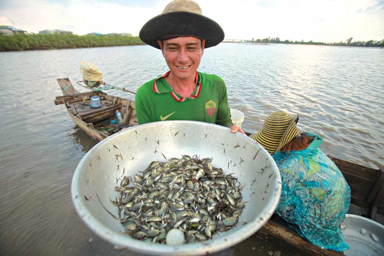 nuoc[-]noi