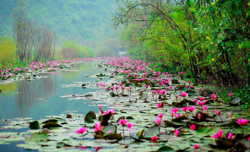 Suối[-]nằm[-]cách[-]trung[-]tâm[-]thành[-]phố[-]Hà[-]Nội[-]khoảng[-]65[-]km.[-]Ảnh:[-]Vietnammoi.
