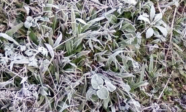 Băng[-]giá[-]kỳ[-]thú,[-]bất[-]ngờ[-]tại[-]miền[-]Tây[-]xứ[-]Nghệ
