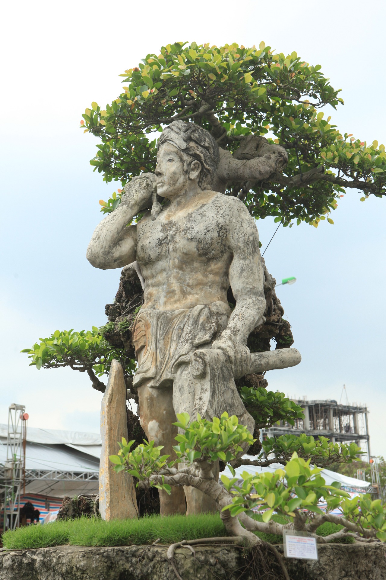 Xôn[-]xao[-]2[-]kiệt[-]tác[-]hiếm[-]có[-]khó[-]tìm[-]trình[-]làng[-]cây[-]ở[-]Thủ[-]đô