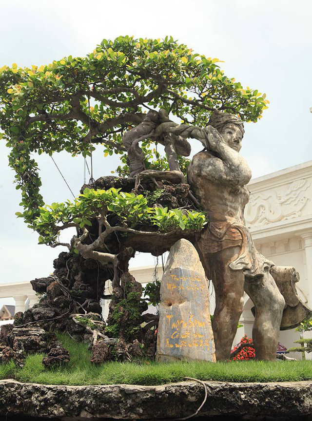 Xôn[-]xao[-]“cây[-]Thạch[-]Sanh”[-]được[-]báo[-]giá[-]hơn[-]4[-]tỷ[-]đồng[-]ở[-]Hải[-]Dương