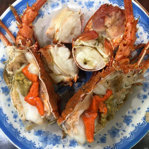 Khám[-]phá[-]tôm[-]hùm[-]Angola[-]đang[-]cực[-]“hot”[-]ở[-]Việt[-]Nam