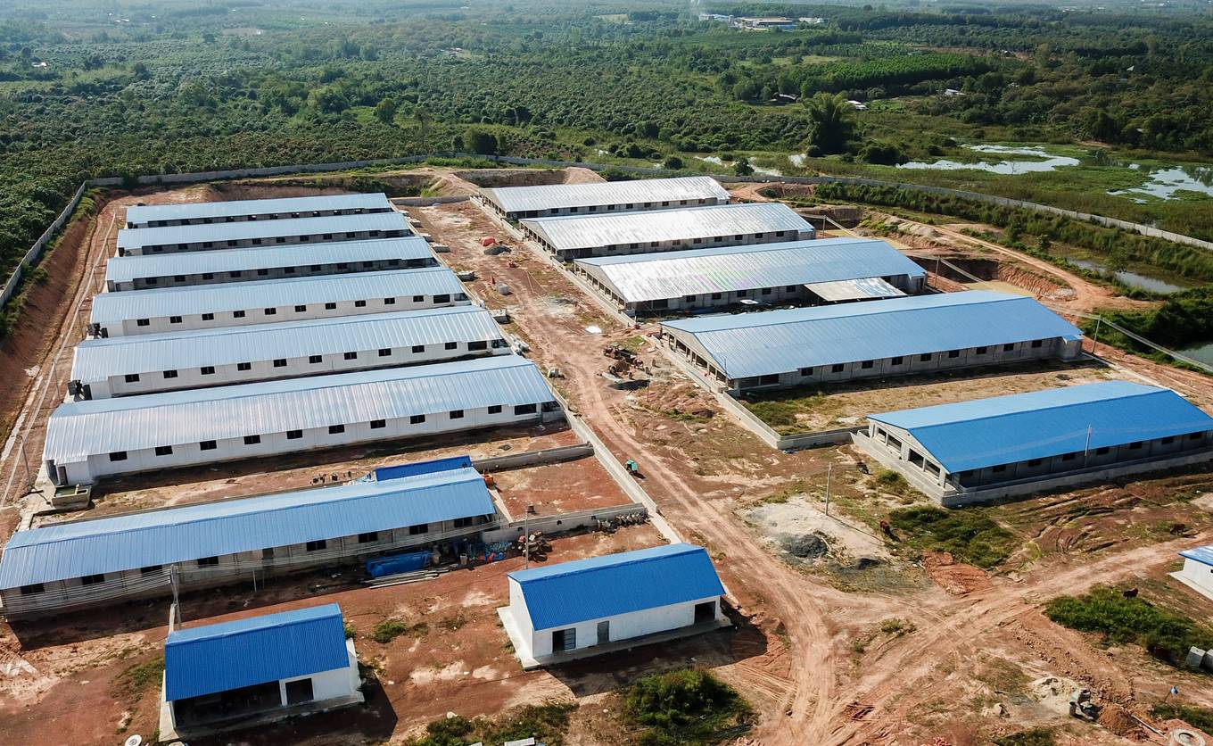 Trại[-]heo[-]“khủng"[-]xây[-]trái[-]phép[-]cạnh[-]hồ[-]Trị[-]An[-]nhìn[-]từ[-]trên[-]cao