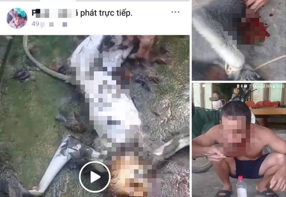 Lại[-]"giết[-]khỉ[-]ăn[-]óc[-]khoe[-]phây":[-]nghĩ[-]sao[-]đây?!