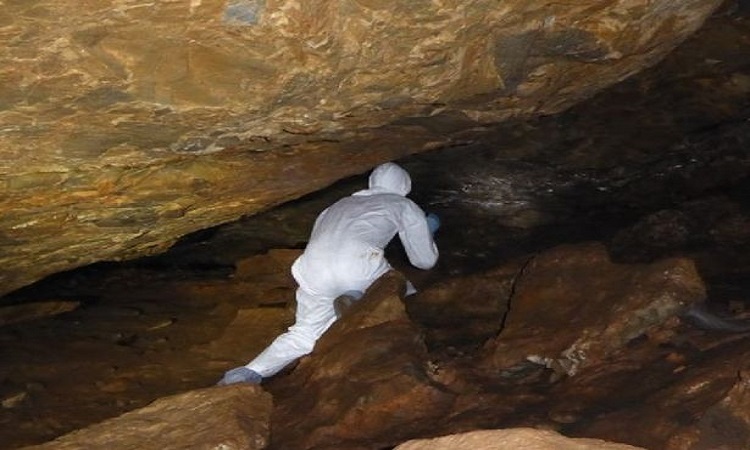 Hang[-]dơi[-]bí[-]mật[-]có[-]thể[-]hé[-]lộ[-]nguồn[-]gốc[-]nCoV