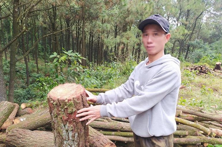Hà[-]Tĩnh:[-]Tạm[-]giữ[-]sư[-]trụ[-]trì[-]và[-]3[-]người[-]cưa[-]hạ[-]cây[-]thông[-]trước[-]cửa[-]chùa[-]Chân[-]Tiên