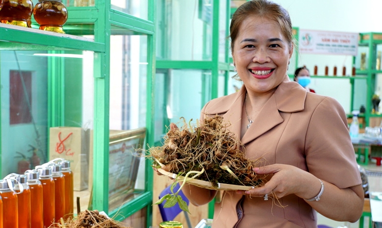 Phát[-]triển[-]du[-]lịch[-]sâm[-]và[-]cây[-]dược[-]liệu[-]ở[-]Nam[-]Trà[-]My