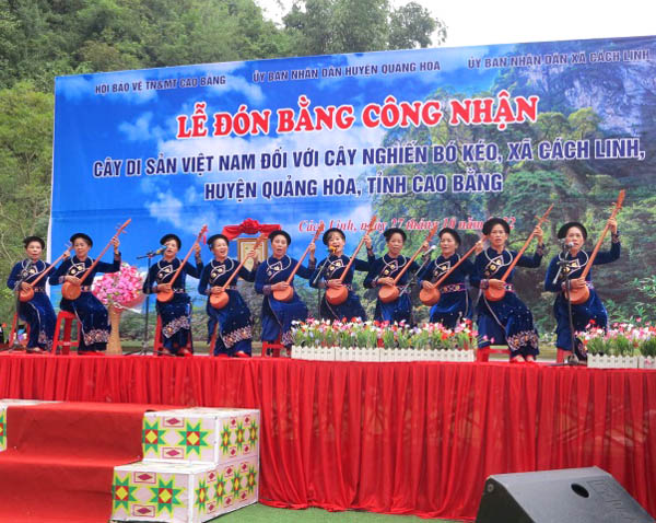 Lễ[-]đón[-]Bằng[-]công[-]nhận[-]và[-]gắn[-]bia[-]Cây[-]Di[-]sản[-]Việt[-]Nam[-]cho[-]cây[-]Nghiến[-]trên[-]1000[-]năm[-]tuổi[-]tại[-]tỉnh[-]Cao[-]Bằng