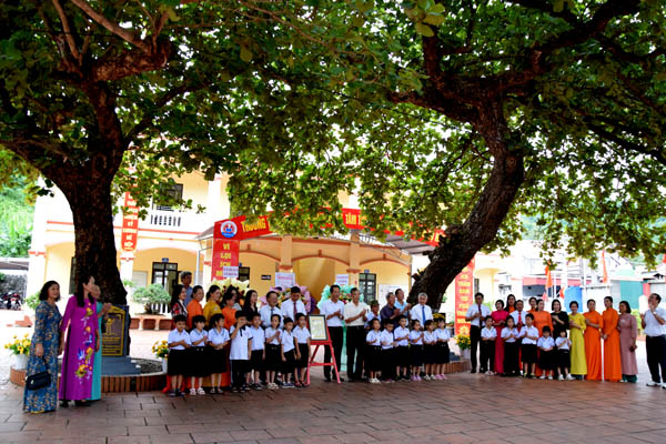 CÂY[-]DI[-]SẢN[-]VIỆT[-]NAM:[-]2[-]cây[-]bàng[-]cổ[-]thụ[-]ở[-]Hải[-]Phòng[-]được[-]công[-]nhận[-]Cây[-]Di[-]sản[-]Việt[-]Nam