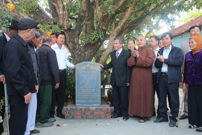 Bốn[-]cây[-]cổ[-]thụ[-]trên[-]200[-]năm[-]của[-]Ninh[-]Bình[-]được[-]công[-]nhận[-]Cây[-]Di[-]sản[-]Việt[-]Nam