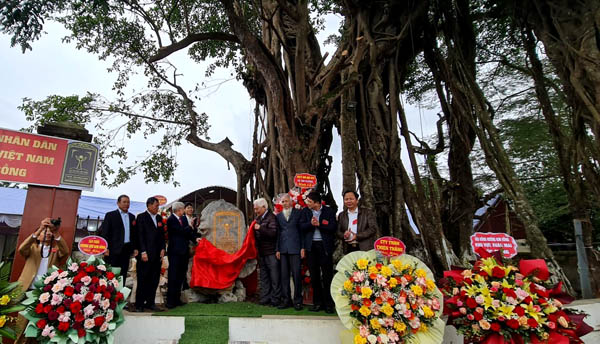 Lễ[-]đón[-]bằng[-]công[-]nhận[-]Cây[-]Di[-]sản[-]Việt[-]Nam[-]tại[-]huyện[-]Ứng[-]Hoà,[-]TP[-]Hà[-]Nội[-]