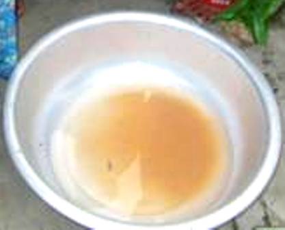 Bà[-]Dơi[-]cầm[-]đũa[-]gắp[-]một[-]con[-]giống[-]con[-]đỉa[-]từ[-]xô[-]nước[-]ngã[-]màu[-]vàng[-]vì[-]dầm[-]các[-]miếng[-]oshi[-]từ[-]đêm[-]qua