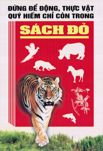 tranh[-]co[-]dong