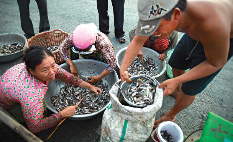 nuoc[-]noi