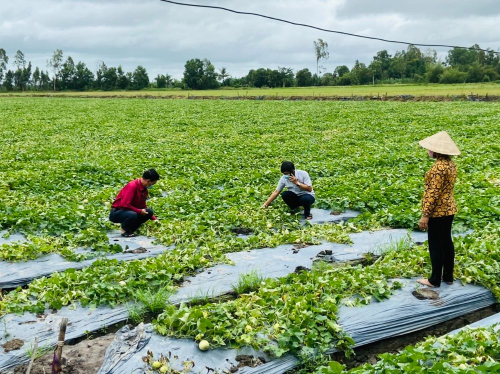 Hoa[-]hậu[-]Vicky[-]Chow:[-]"Tự[-]hào[-]vì[-]được[-]đóng[-]góp[-]trách[-]nhiệm[-]với[-]cộng[-]đồng"