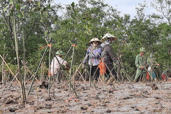 "Bức[-]tường[-]xanh"[-]nơi[-]cửa[-]biển