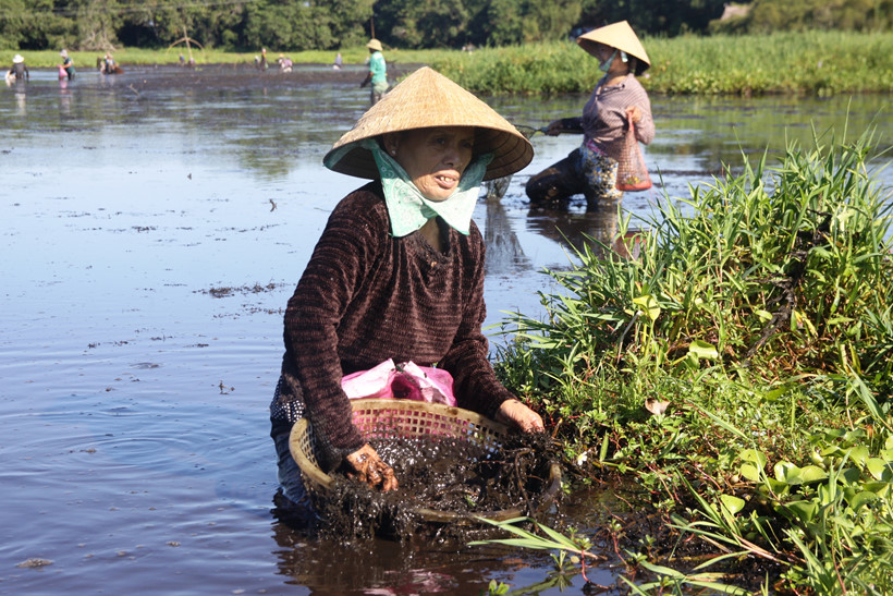 Cả[-]ngàn[-]người[-]lao[-]xuống[-]bàu[-]nước[-]"tắm[-]bùn"bắt[-]cá