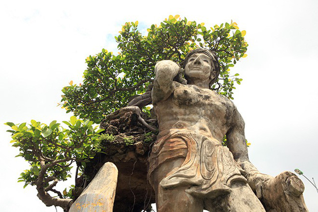 Xôn[-]xao[-]“cây[-]Thạch[-]Sanh”[-]được[-]báo[-]giá[-]hơn[-]4[-]tỷ[-]đồng[-]ở[-]Hải[-]Dương