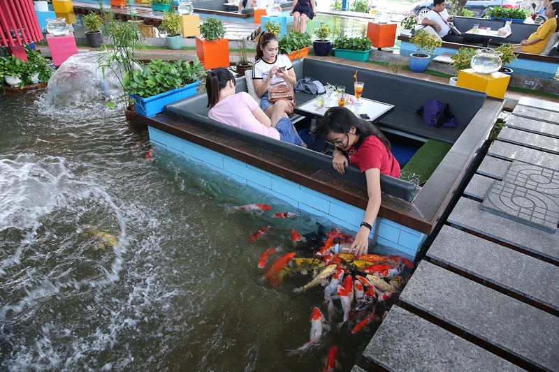 Uống[-]cà[-]phê[-]giữa[-]hồ[-]cá[-]Koi[-]tiền[-]tỉ[-]ở[-]Sài[-]Gòn