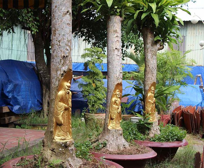 Tượng[-]Phật[-]Di[-]Lặc[-]hiện[-]hình[-]trên[-]cây[-]khế[-]già