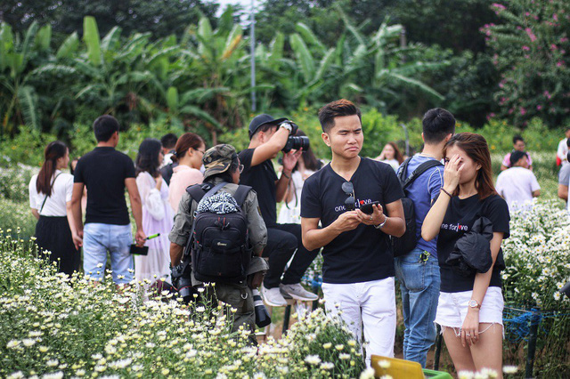 Biển[-]người[-]đổ[-]về[-]chụp[-]ảnh,[-]vườn[-]cúc[-]họa[-]mi[-]“vỡ[-]trận”