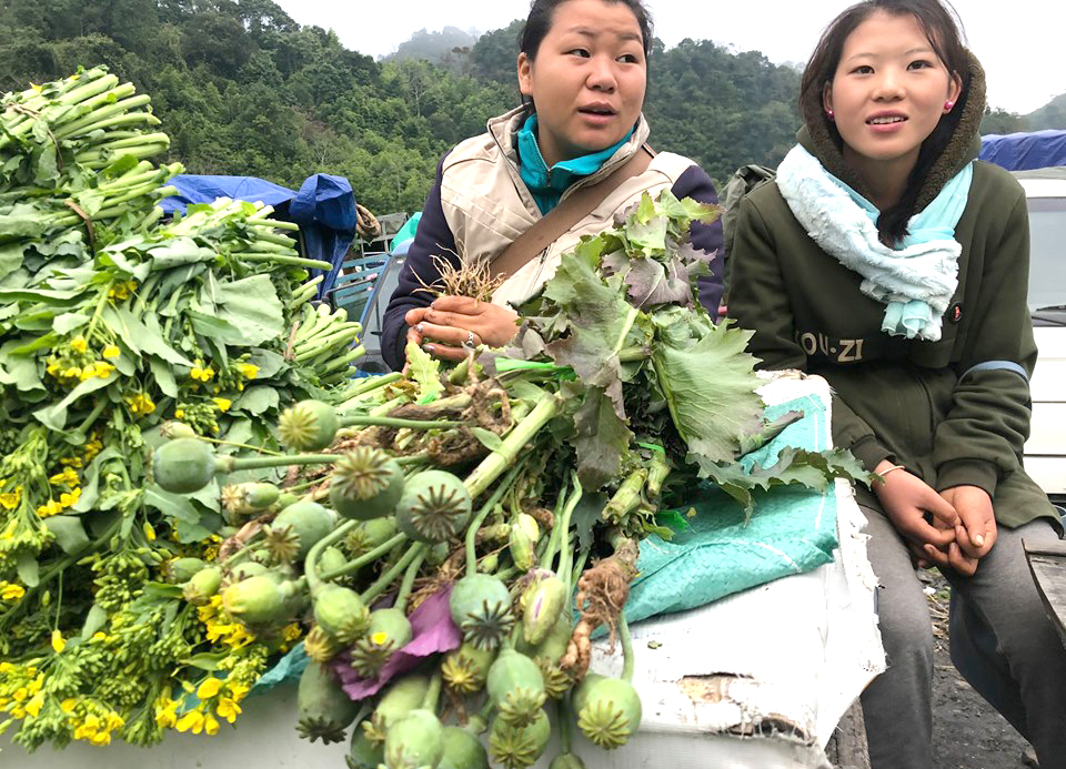 Cây[-]thuốc[-]phiện[-]bày[-]bán[-]như[-]rau[-]ở[-]chợ[-]biên[-]giới[-]Việt[-]-[-]Lào