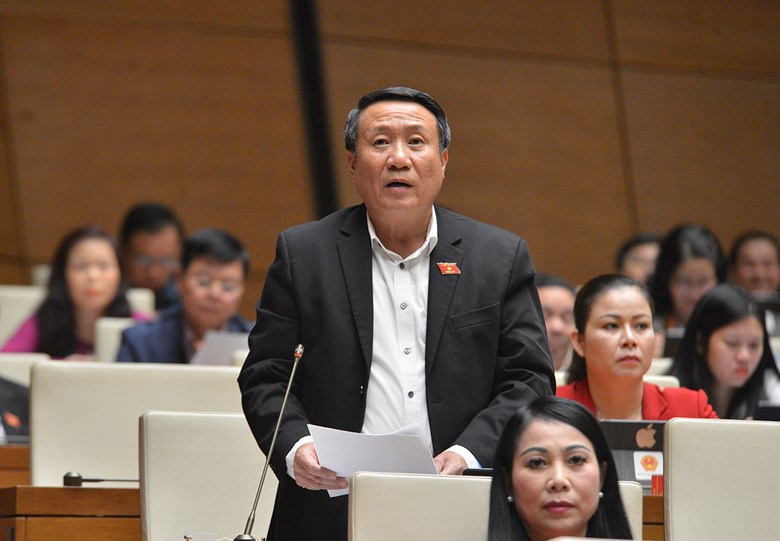 [-]‘Sẽ[-]trung[-]thực[-]hơn[-]nếu[-]bộ[-]trưởng[-]nói[-]mất[-]rừng[-]do[-]quản[-]lý[-]bất[-]cập’