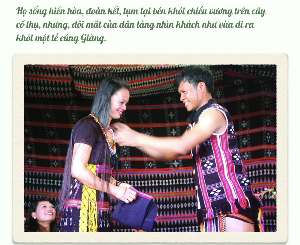 Lời[-]rừng[-]hay[-]lẽ[-]tử[-]sinh[-]của[-]tri[-]thức[-]bản[-]địa