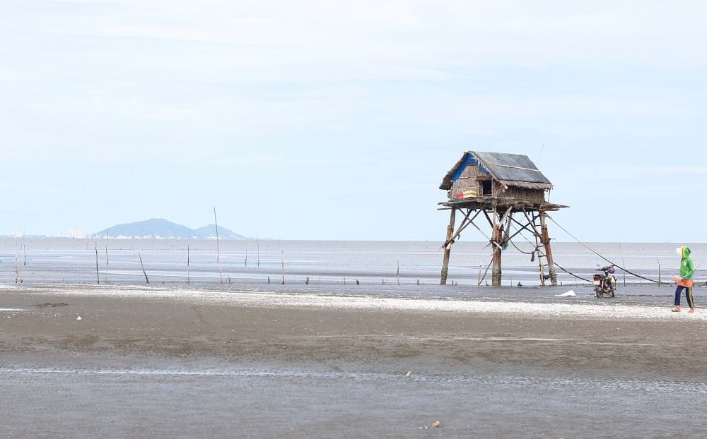 Xây[-]resort,[-]khu[-]dân[-]cư...[-]ở[-]Cần[-]Giờ[-]phải[-]được[-]thẩm[-]định[-]thận[-]trọng[-]