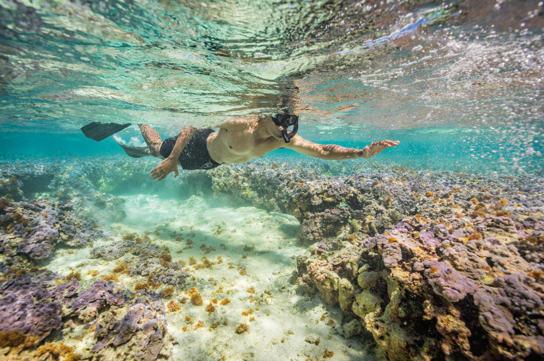 Những[-]bức[-]ảnh[-]xuất[-]sắc[-]nhất[-]của[-]NatGeo[-]năm[-]2017