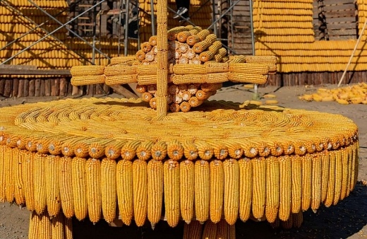 Độc[-]đáo[-]ngôi[-]nhà[-]48m2[-]đẹp[-]như[-]dát[-]vàng,[-]được[-]xây[-]từ[-]20[-]ngàn[-]bắp[-]ngô