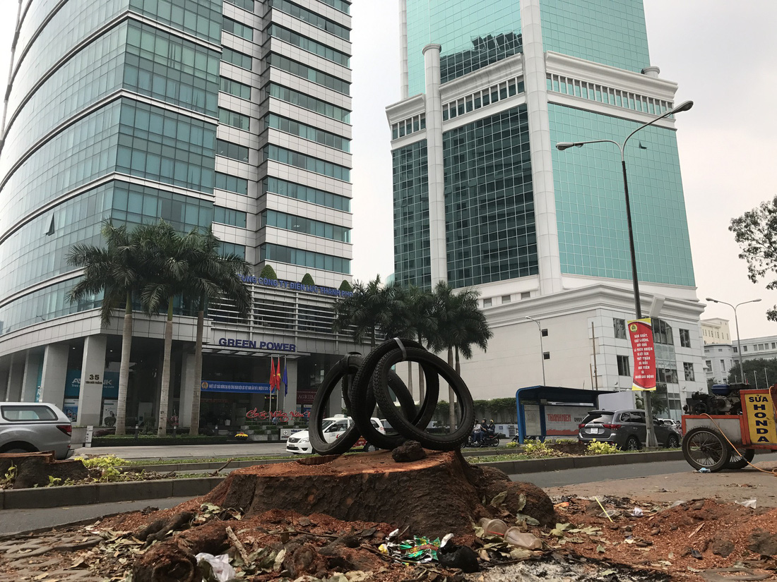Đường[-]Tôn[-]Đức[-]Thắng[-]lạ[-]lẫm[-]khi[-]không[-]còn[-]hàng[-]cây[-]cổ[-]thụ