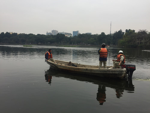 Quây[-]lưới[-]nhốt[-]thiên[-]nga[-]giữa[-]hồ[-]để[-]tránh[-]bắt[-]trộm?