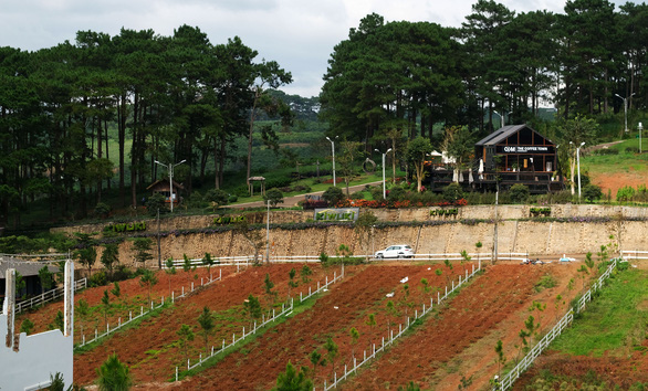 Không[-]thể[-]tưởng[-]tượng:[-]Cả[-]một[-]đô[-]thị[-]nghỉ[-]dưỡng...[-]lậu[-]giữa[-]rừng