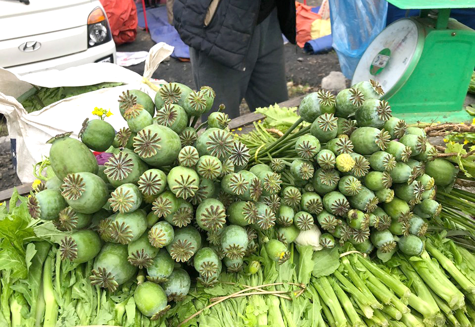 Cây[-]thuốc[-]phiện[-]bày[-]bán[-]như[-]rau[-]ở[-]chợ[-]biên[-]giới[-]Việt[-]-[-]Lào