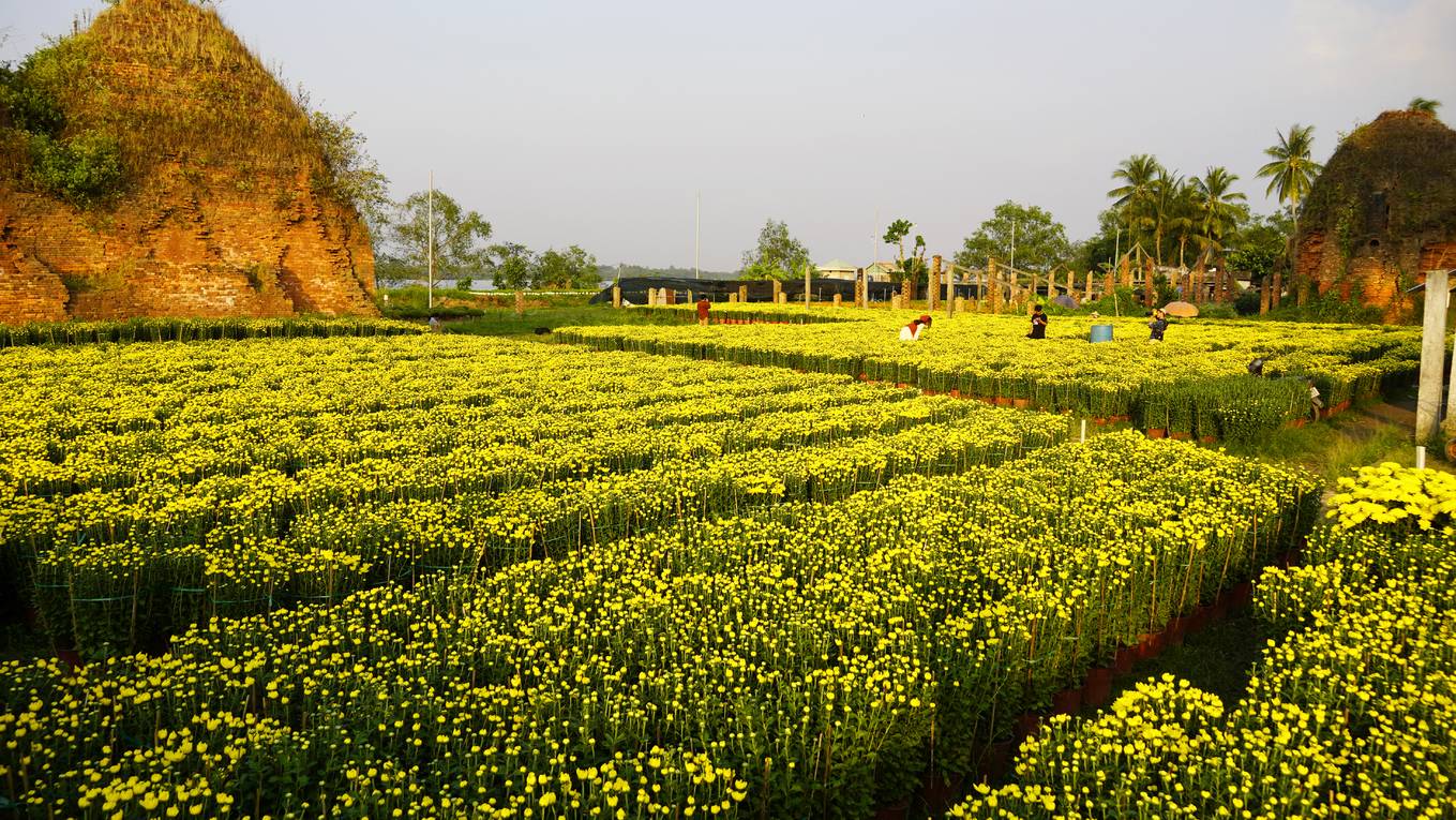 Vườn[-]hoa[-]Tết[-]bên[-]lò[-]gạch[-]100[-]tuổi
